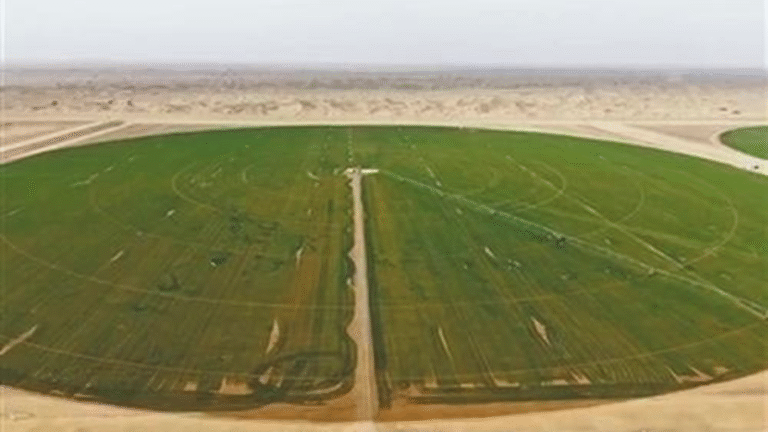 兵團人員以機械臂作為「圓規」，精準耕作出8000畝冬小麥地塊，從高空俯瞰形成壯觀的同心圓景觀。