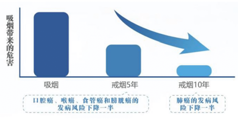 吸煙使肺癌、口腔癌、食管癌、膀胱癌等風險顯著上升。