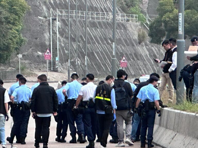 警方事後在現場作地氈式搜索。