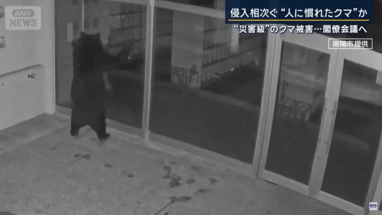日前有熊半夜企圖闖入山形縣一間校舍。(網上圖片)