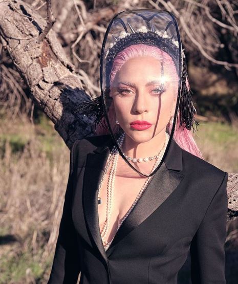 Lady Gaga為今次慈善音樂會發起人。