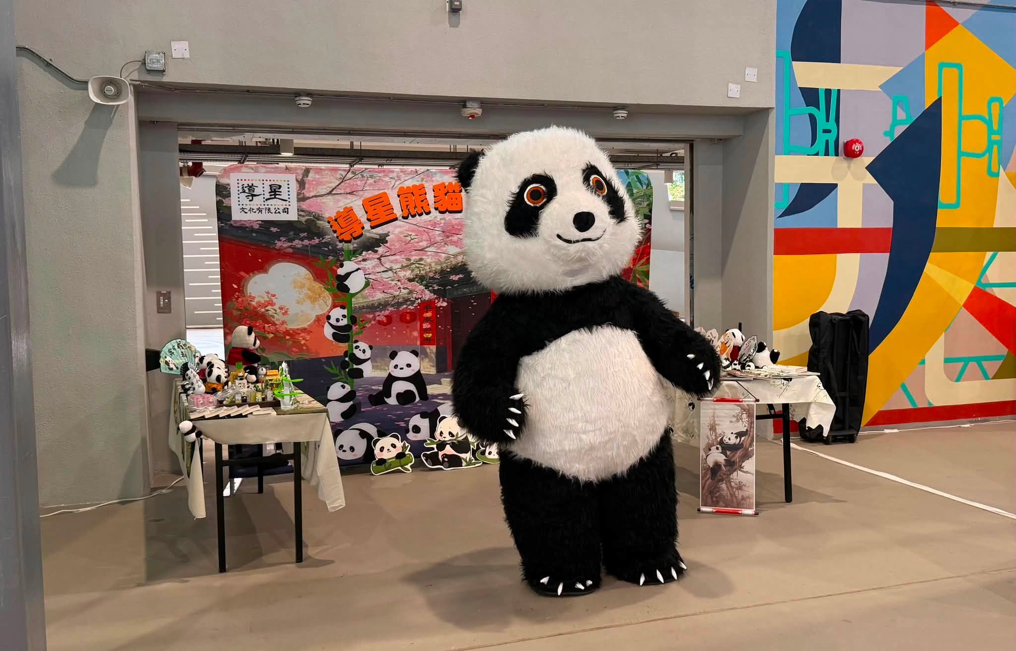 图组图片 2