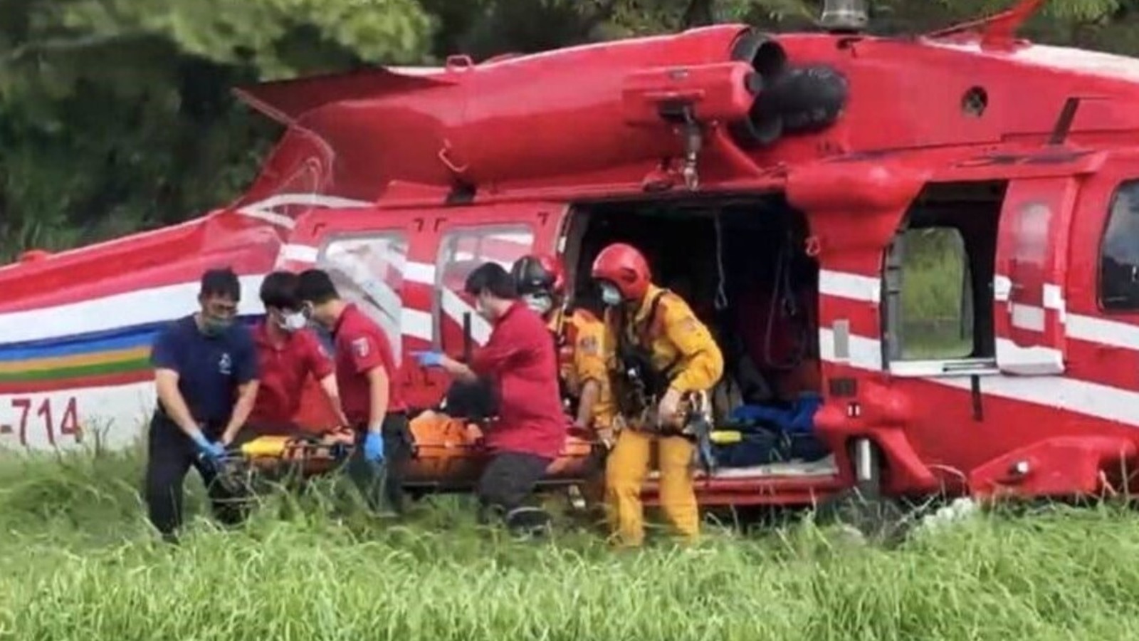 墾丁公園虎頭蜂針螫登山者釀2死1傷　傷者全身紅腫要洗腎急救