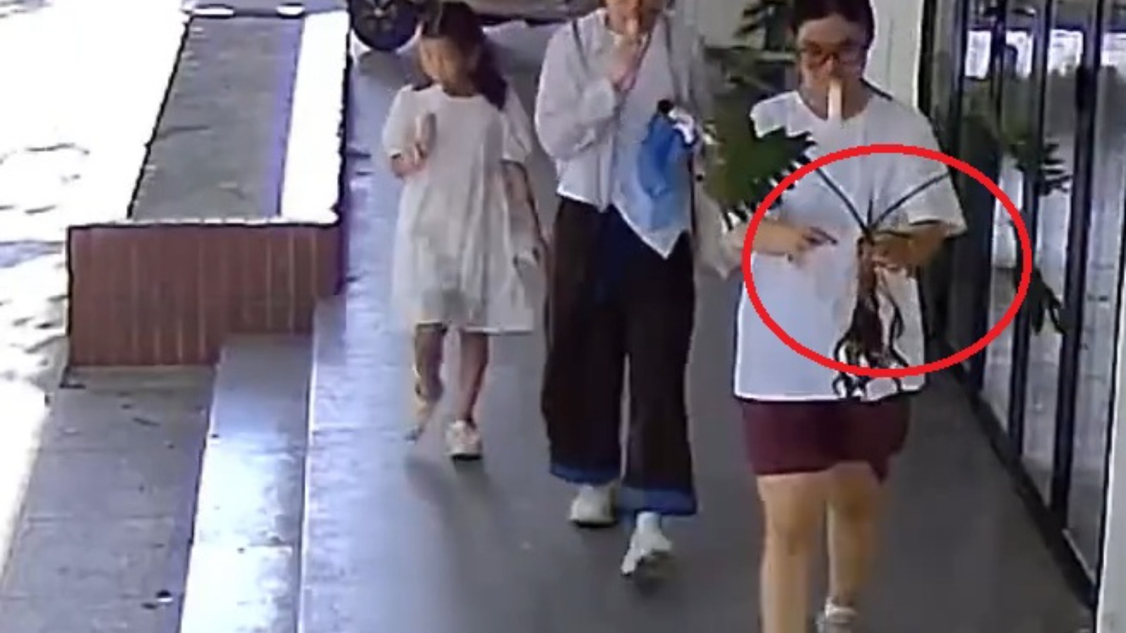 【堅有片】兩名女子攜兩孩明目張膽　連根拔走店家養植數年盆栽