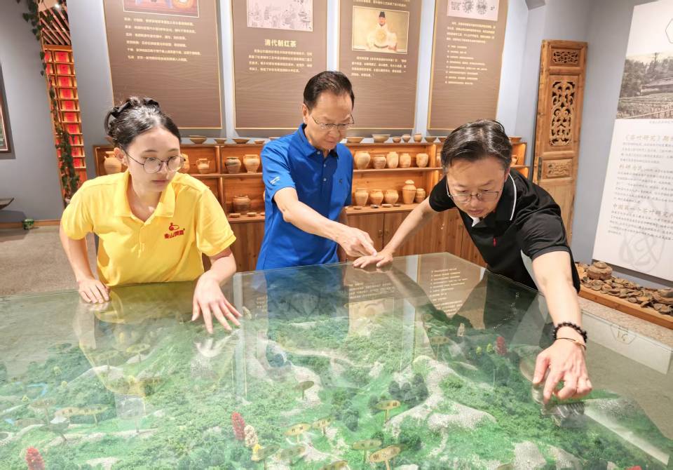 图组图片 4
