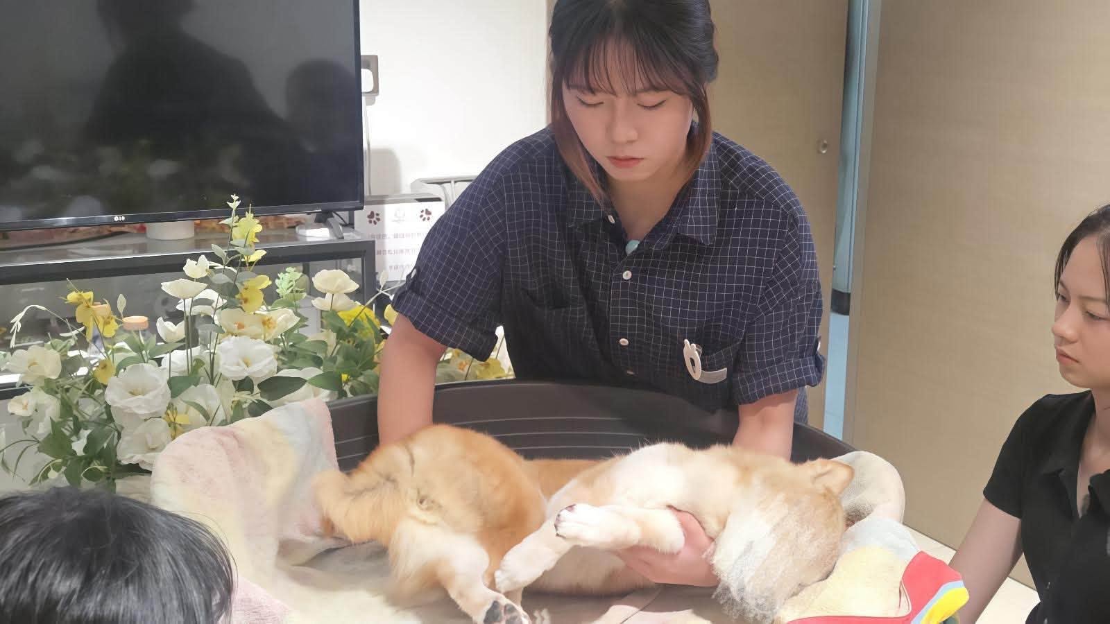 图组图片 5