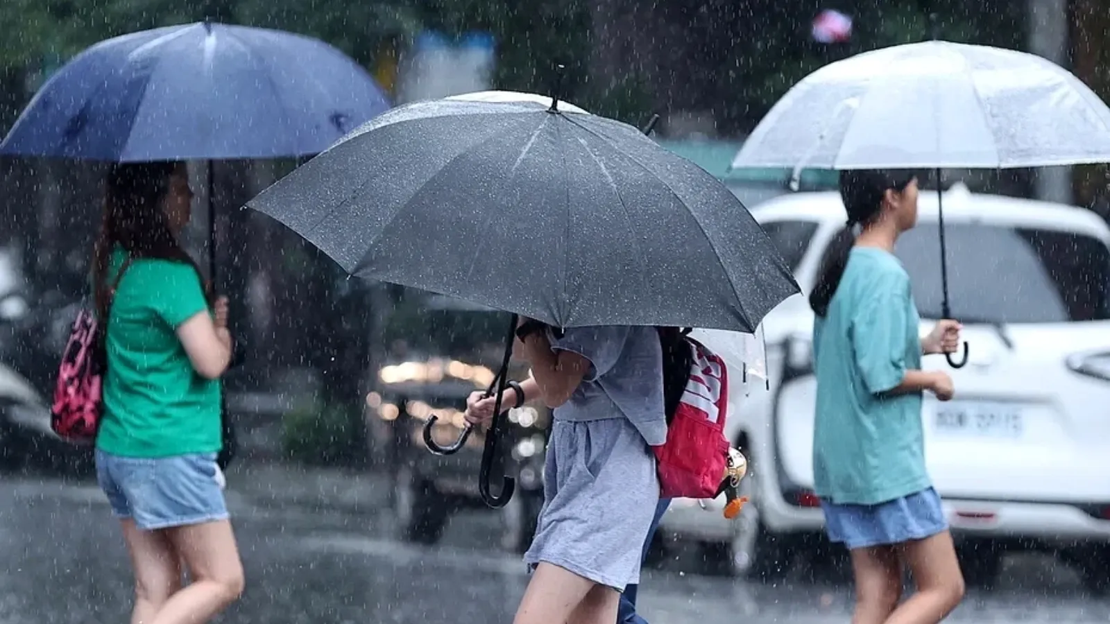 中南部豪雨成災全台2死3失蹤202傷　農業損失近1.35億新台幣