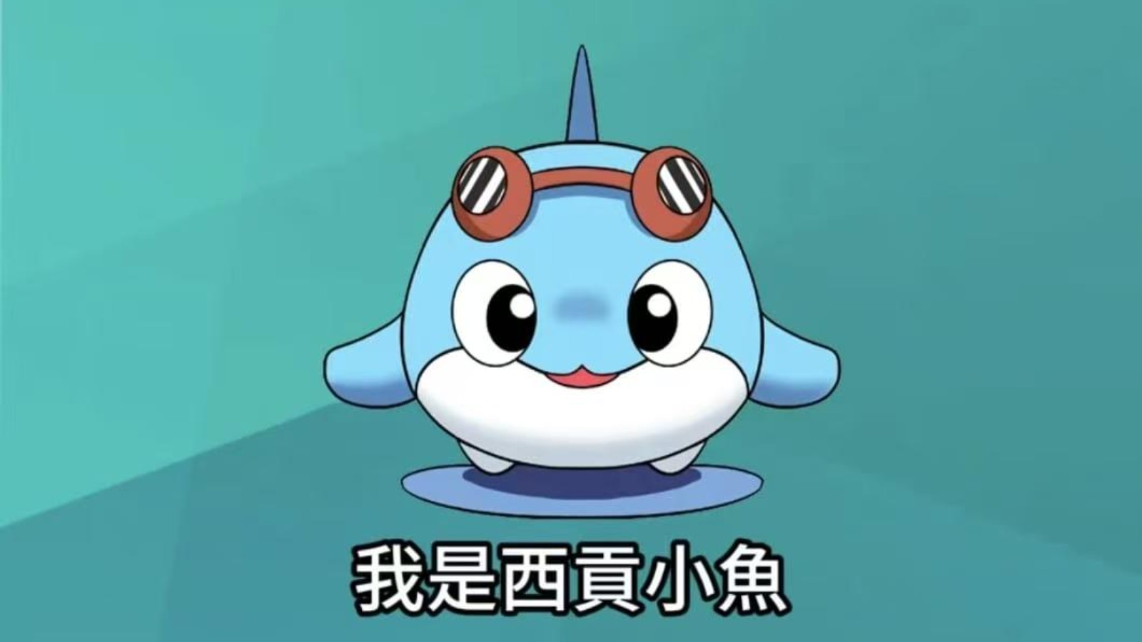 西貢小魚 陪你追蹤西貢一週時事熱點！