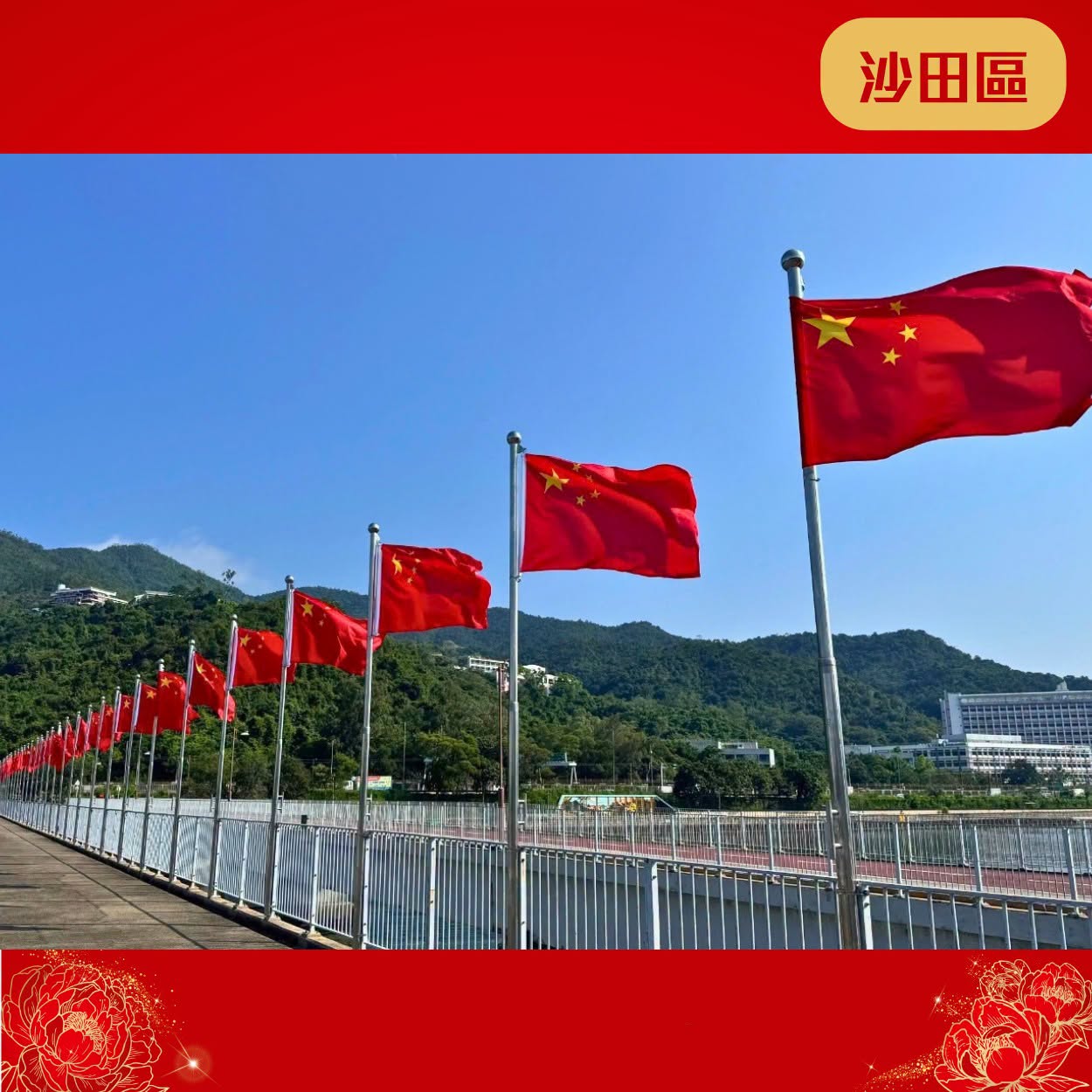 图组图片 5