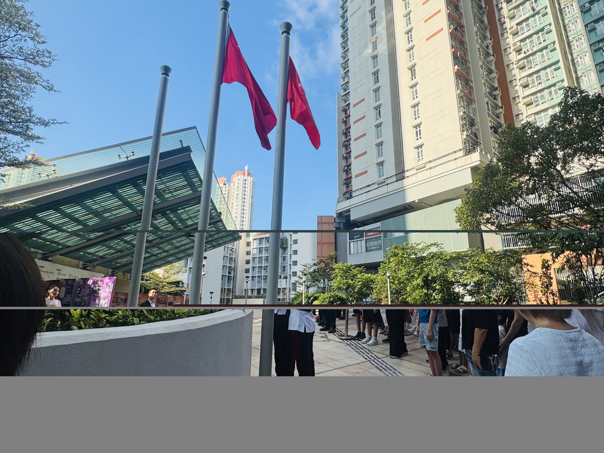 图组图片 5