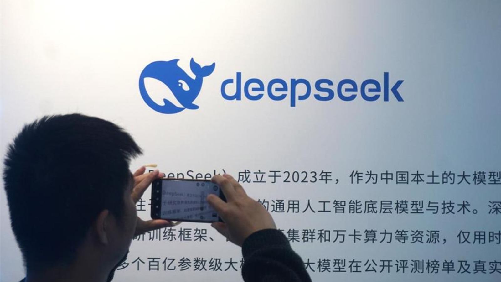 DeepSeek今早故障近5小時　為今年來最嚴重