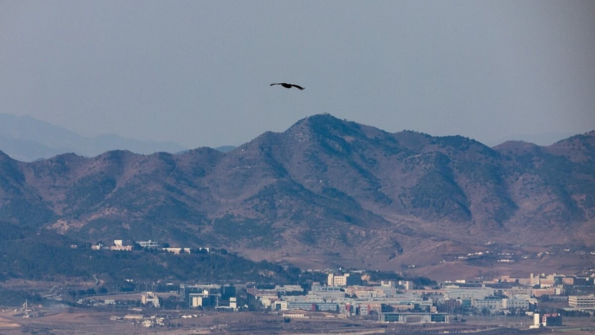 韓國就非軍事區地雷爆炸　去信安理會要求朝鮮道歉